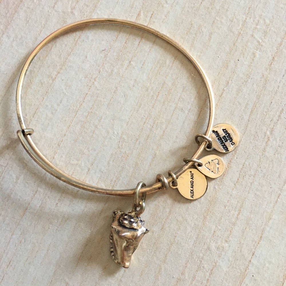 Alex and Ani bracelet